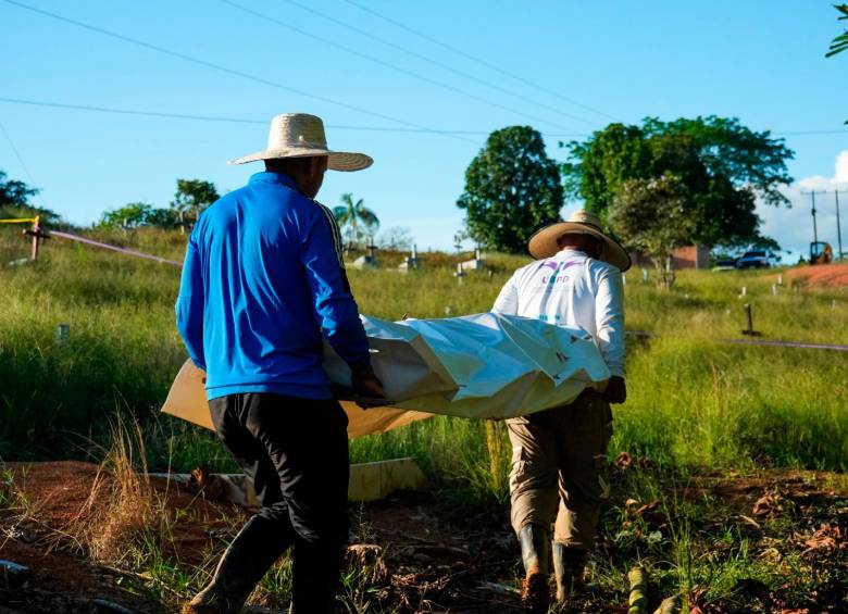 Muchos desaparecidos dentro del conflicto en Urabá podrían estar en Caquetá: UBPD