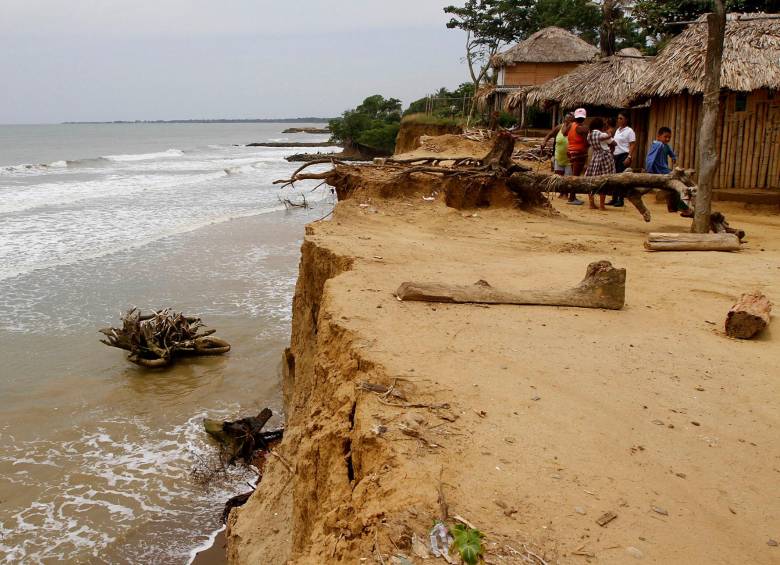 Blanqueamiento de corales, afectaciones a las dinámicas pesqueras, acidificación del océano y aumento en la mortalidad de especies son algunos de los impactos de las olas de calor marinas. FOTO EL COLOMBIANO 