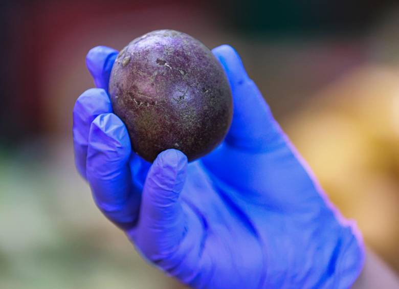 Estas son las frutas exóticas que cautivan paladares en el mercado paisa, ¿cuál es la más rara? 