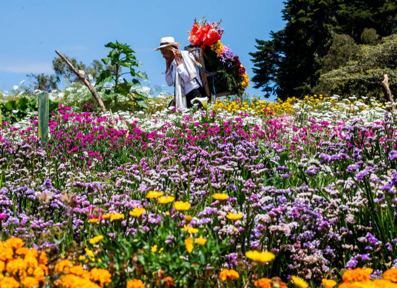 La feria de las flores irá del 31 de julio al 9 de agosto. FOTO Julio César Herrera