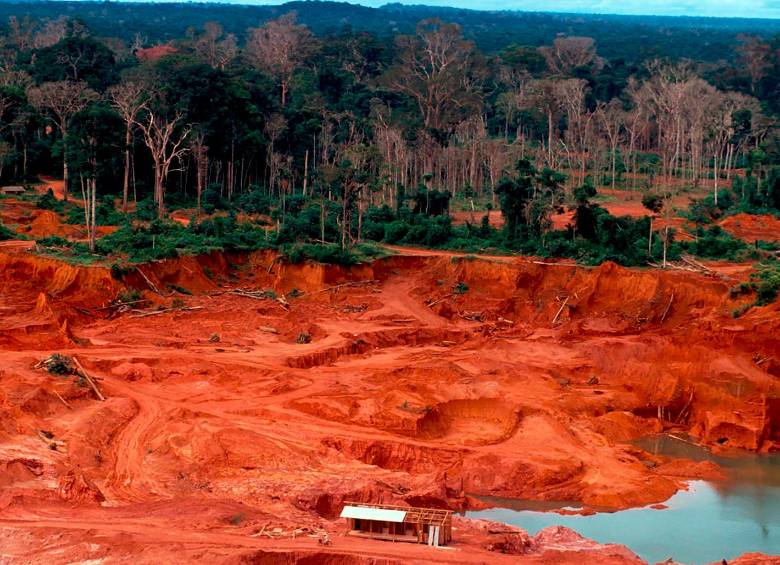 Deforestación del Amazonas. Foto: Getty.