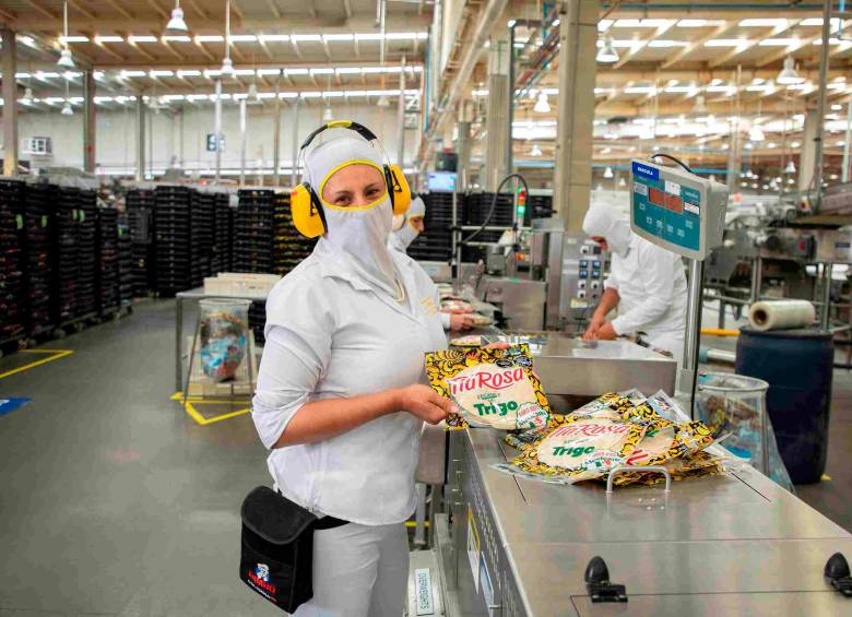 Bimbo busca fortalecer su equipo en Colombia con talento que comparta su propósito de alimentar un mundo mejor. FOTO: CORTESÍA BIMBO