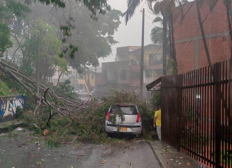 Así quedó un vehículo afectado por la caída de un árbol en Buenos Aires, en Ayacucho con la 38. FOTO: Julio César Herrera.