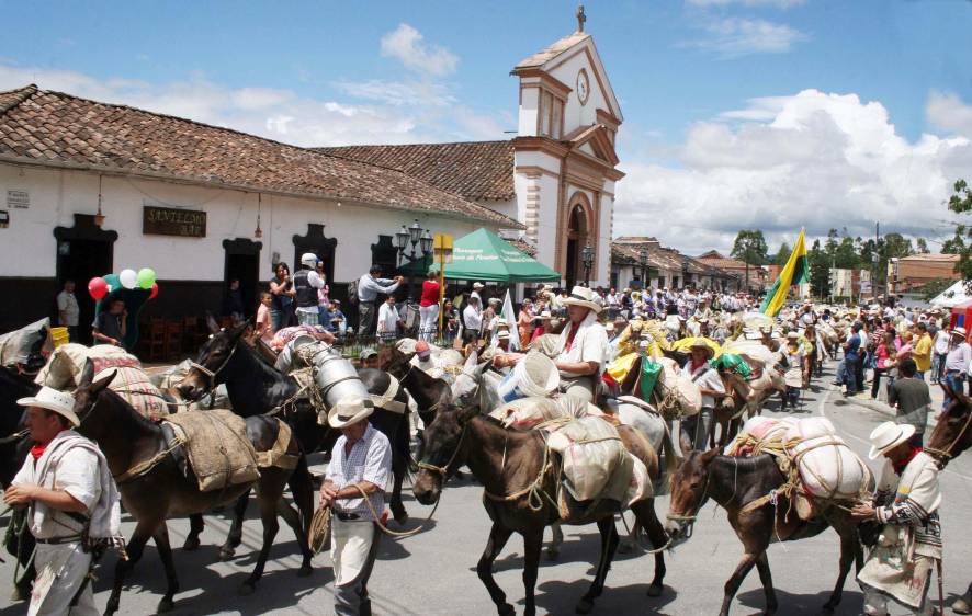 Recua de mulas salida de San Antonio de Pereira, en Rionegro, con destino a Aguadas, Caldas. FOTO Manuel Saldarriaga.