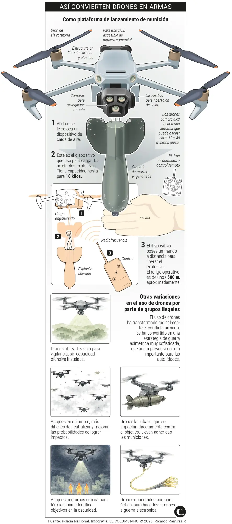InfogrÃ¡fico