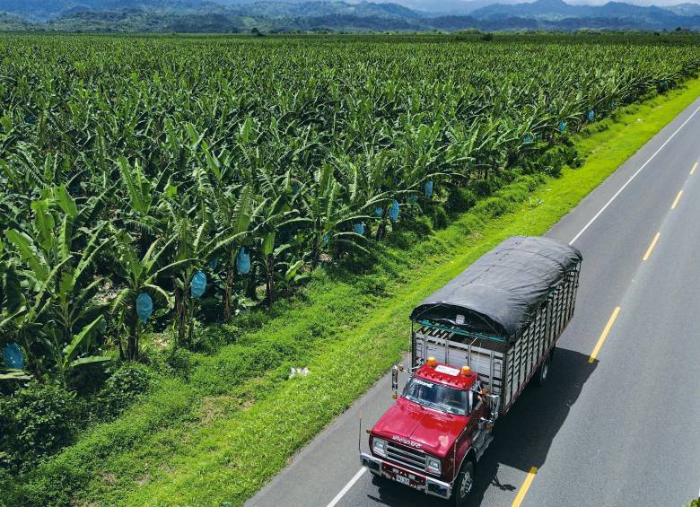Urabá es la tercera economía más importante de Antioquia, con una participación del 6,3% en el PIB departamental. FOTO Manuel Saldarriaga