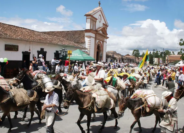 Recua de mulas salida de San Antonio de Pereira, en Rionegro, con destino a Aguadas, Caldas. FOTO Manuel Saldarriaga.