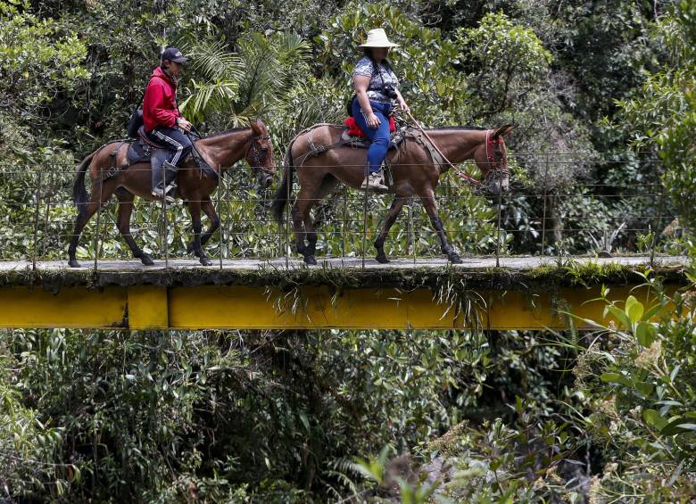 Imagen de referencia de campesinos en Antioquia. Foto: Manuel Saldarriaga Quintero