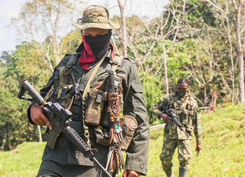 En Chocó (foto) hay cuatro frentes de guerra del ELN y dos compañías agrupadas en el frente de Guerra Occidental Omar Gómez. Allí sostienen una confrontación con el Clan del Golfo. FOTO archivo