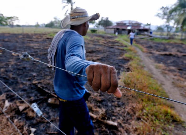 Se calcula que en Colombia hay 6,5 millones de hectáreas que han sido abandonadas o despojadas a más de 5 millones de personas. FOTO Juan Antonio Sánchez