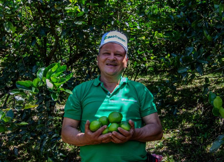 La Asociación trabaja actualmente con cerca de 20 productores ubicados en Uramita, Frontino, Cañasgordas y Dabeiba. FOTO Julio César Herrera