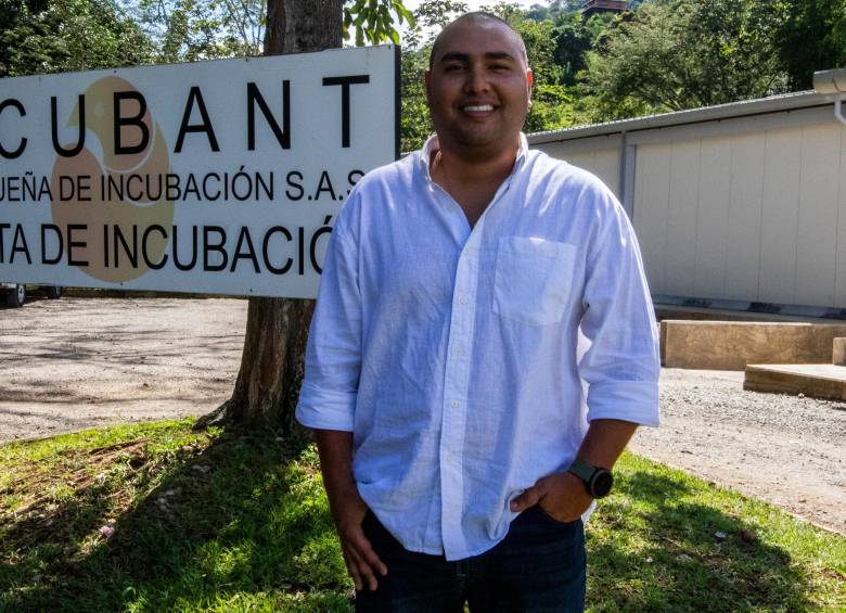 Incubant mantiene aproximadamente 180.000 gallinas reproductoras, la base del sistema que les permite producir cientos de miles de pollitos cada semana. FOTO JULIO CÉSAR HERRERA