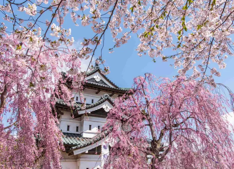 Barrio Shimoshirogane, ciudad de Hirosaki, prefectura de Aomori, Japón.Foto: Japan Endless Discovery