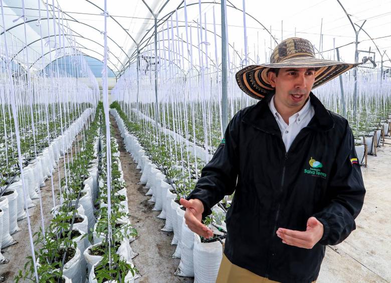Ciudadela Agrotecnológica en Marinilla está ofreciendo becas para formarse en la agricultura del futuro