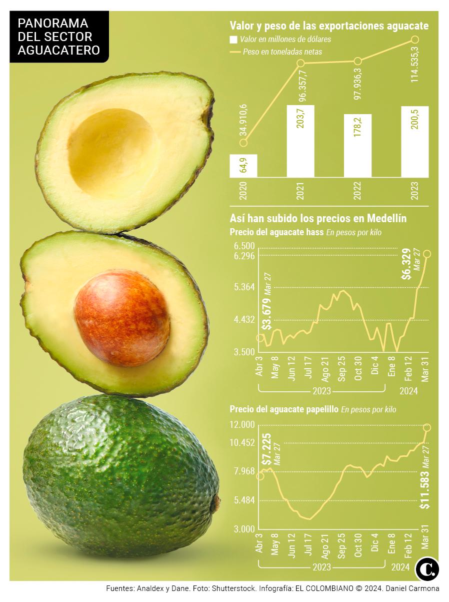 ¿Por qué el aguacate está tan caro en Colombia? Precio aumentó más de 60% en el último año