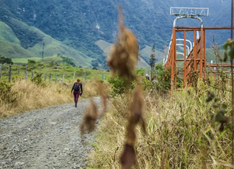 Caminos Los Chorros de Tapartó . Foto: Cristina Rodríguez.