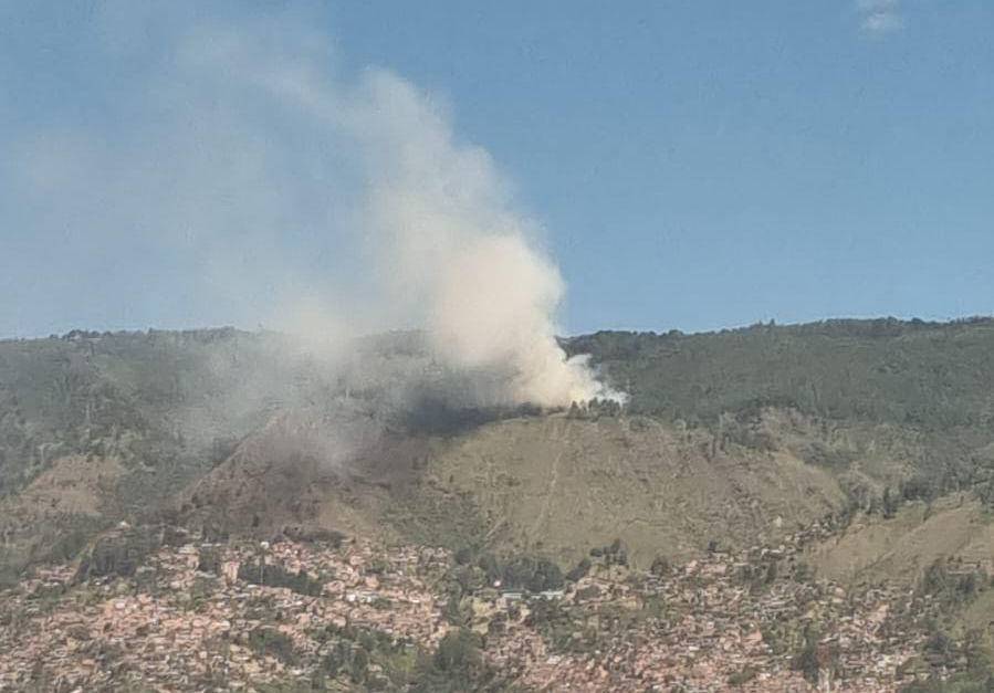 ¿Cómo Prevenir Un Incendio Forestal Y Qué Hacer Si Se Encuentra Con Uno?