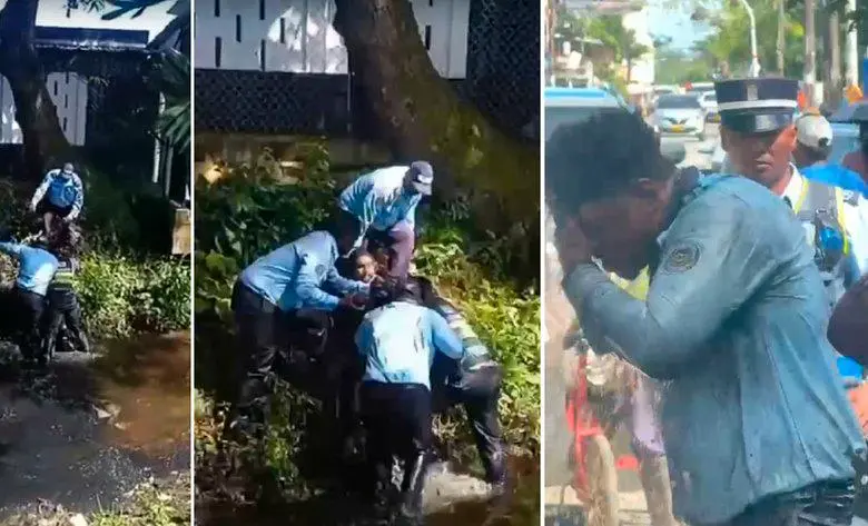 PANTALLAZO TOMADO DEL VIDEO