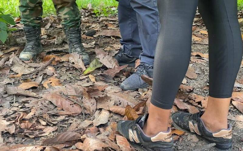 Gustavo Petro también afirmó que “no matar en Navidad es la orden del presidente de la república de Colombia”. FOTO: Colprensa