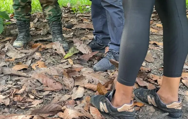 Gustavo Petro también afirmó que “no matar en Navidad es la orden del presidente de la república de Colombia”. FOTO: Colprensa