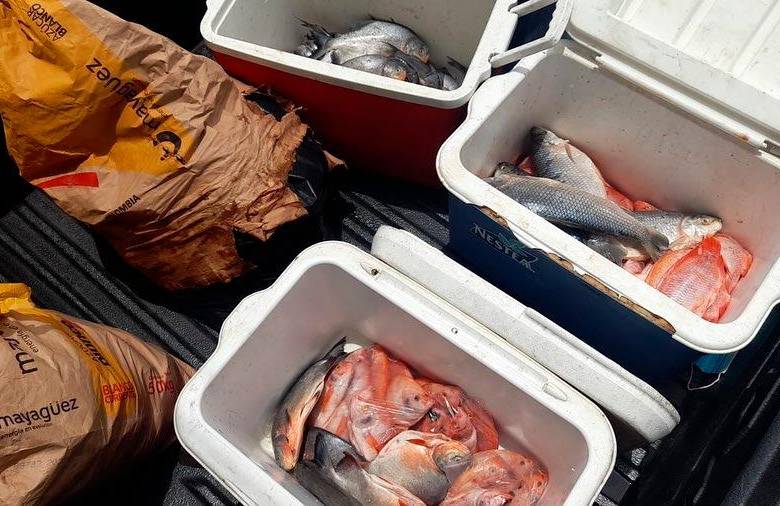 El producto incautado no presentaba condiciones adecuadas de almacenamiento, como la cadena de frío y fue declarado no apto para el consumo humano por las autoridades. FOTO cortesía