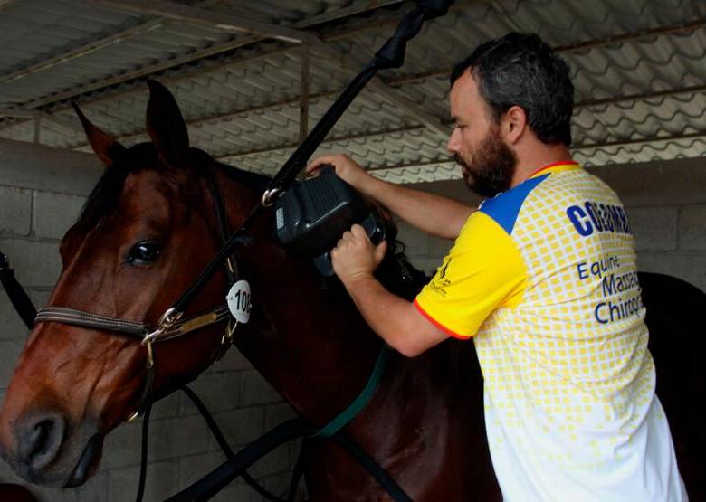 OMS Confirma Primer Caso En Humanos De Encefalitis Equina Después De ...