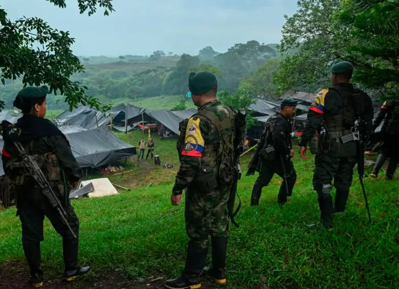 Solo en el departamento del Cauca hay sembradas 31.844 hectáreas de hoja de coca, los cultivos son controlados por los grupos disidentes. FOTO afp