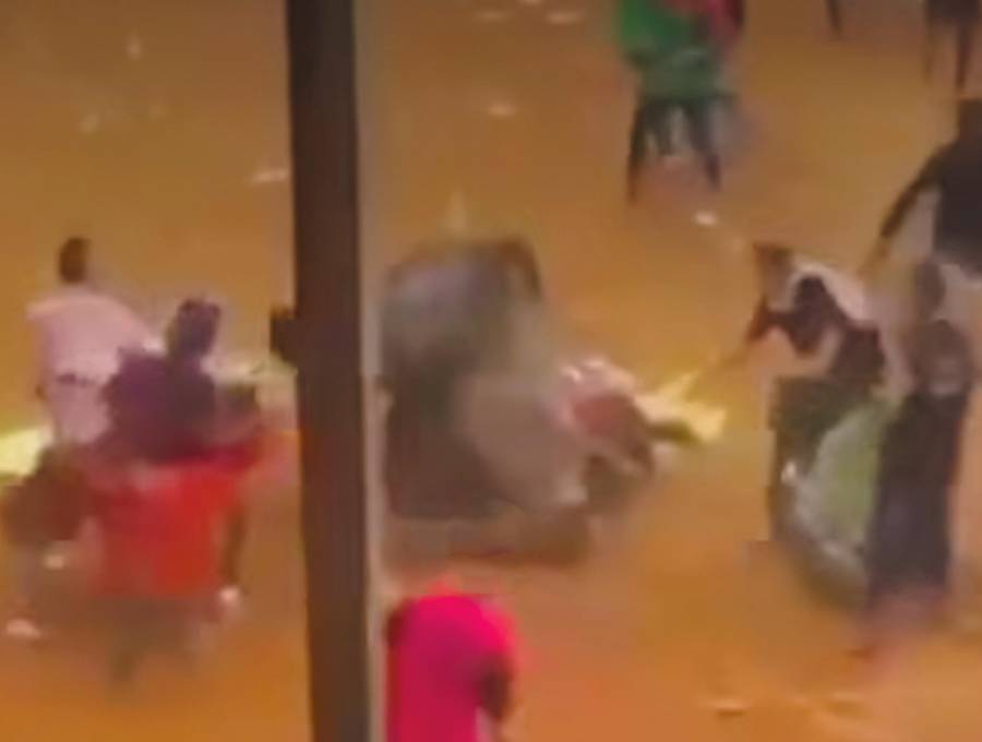 El caballo sufrió heridas luego de ser corneado por un toro. Murió en el lugar. FOTO: CORTESÍA