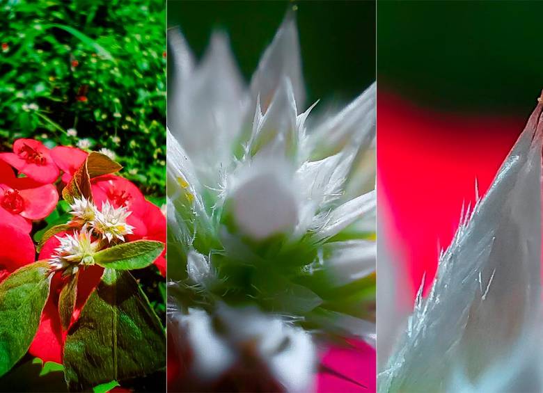 OPPO Reno7 256GB, el smartphone ideal para las vacaciones de Semana Santa