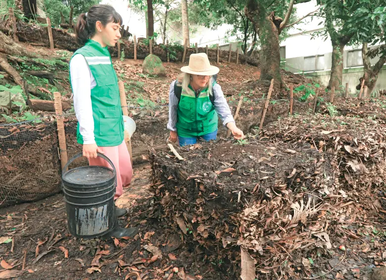 En la urbanización Loyola llevan alrededor de dos años haciendo pacas. Han tenido sus altibajos pero han obtenido buen resultado. FOTO: Esneyder Gutiérrez