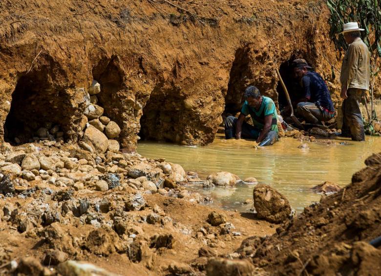 El 78% de la Evoa se concentra en Antioquia y Chocó, según el informe divulgado ayer. FOTO Julio César Herrera