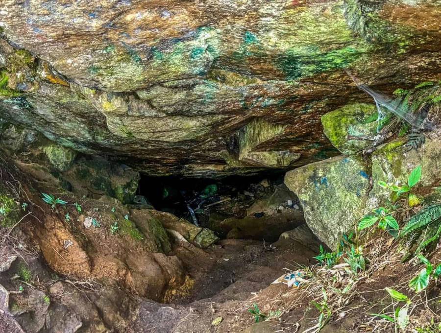 Cuevas del Higuerón, Envigado, Antioquia. Foto: Cristina Rodriguez.