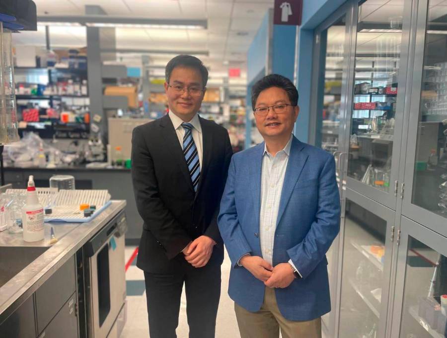 Los investigadores Yilai Shu (izquierda), de la Universidad de Fudan, y Zheng-Yi Chen (derecha), científico asociado del Mass Eye and Ear de Boston. FOTO: Mass General Brigham.