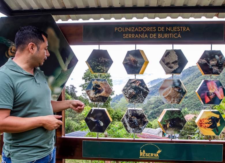 La Reserva tiene como meta exportar miel a China en 2028