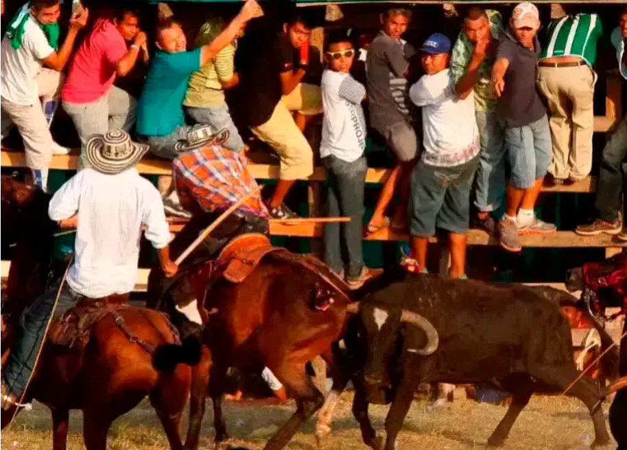 Aproximadamente cuatro menores resultaron heridos durante las corralejas. FOTO: EL COLOMBIANO