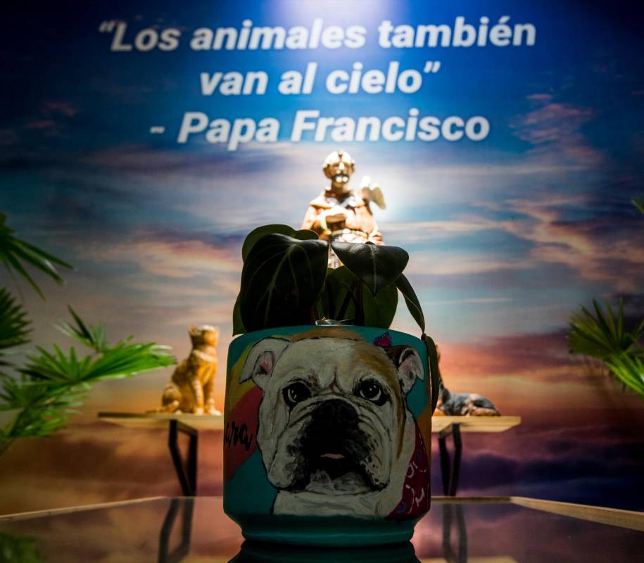 En la sala de velación se cumple uno de los rituales que es encender la luz, por que significa el transcender de las mascotas. Fotos : Julio César Herrera