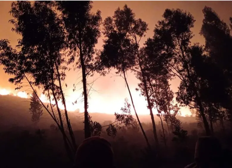 Hay alerta en Tolima por los incendios que ya tienen afectadas más de 11.000 hectáreas. FOTO: Colprensa