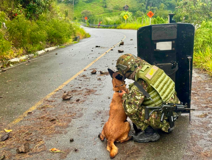 El equipo especializado en neutralización de explosivos adelantó el operativo. Foto: cortesía Ejército.