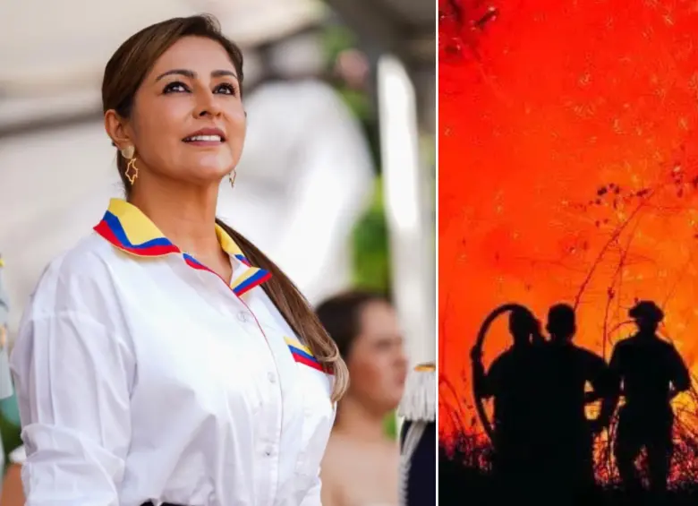 La gobernadora del Tolima, Adriana Magali Matiz Vargas, fue amenazada tras denuncias por los incendios. FOTOS: Tomada de Instagram @adrianamatiztol - Gobernación del Tolima