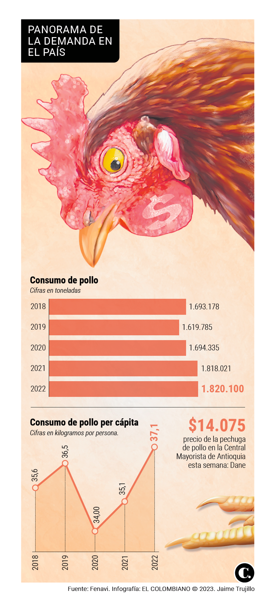InfogrÃ¡fico