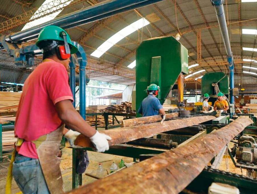 Terminales estratégicas proyectadas en Urabá como Puerto Cirilo se verían gravemente afectados por esta resolución del Ministerio de Medio Ambiente que les restringe la exportación de madera. FOTO: Cortesía