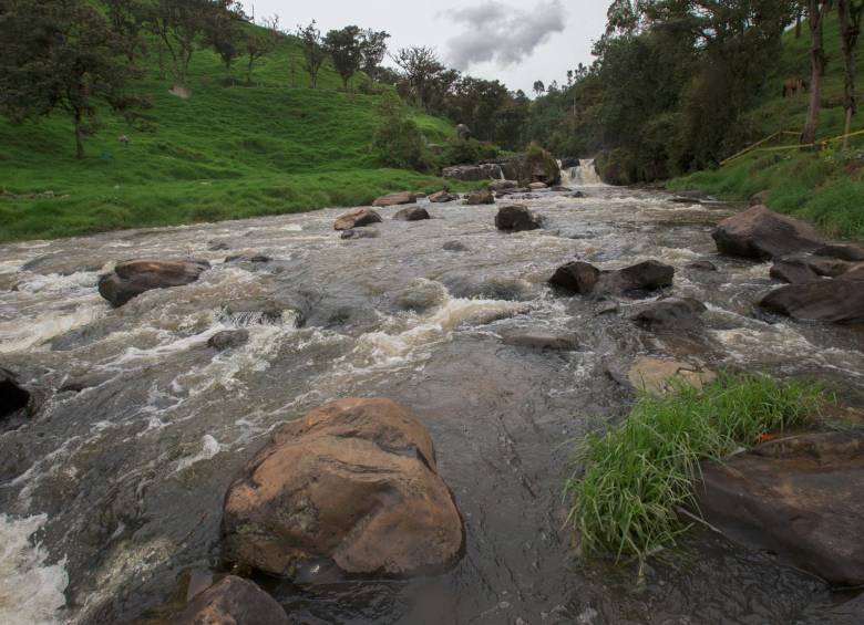 El río Chico será la sede del evento de la zona urbana de este concurso de pesca que se realizará durante dos fines de semana en Belmira, Norte antioqueño. FOTO: DONALDO ZULUAGA.