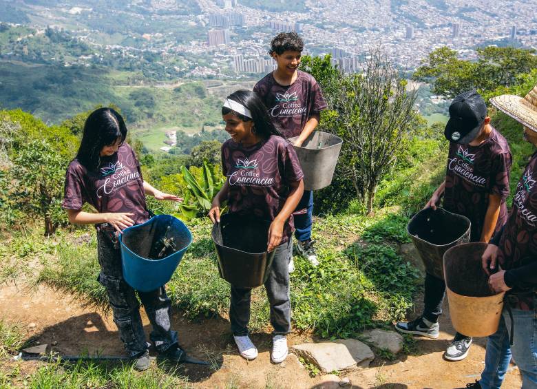 De a poco el proyecto iniciado en esa zona de ladera de Bello ha empezado a dar frutos, aparte de la ganancia de que los chicos estén por fuera de la mira de las dinámicas nocivas del sector. FOTOS Julio César Herrera