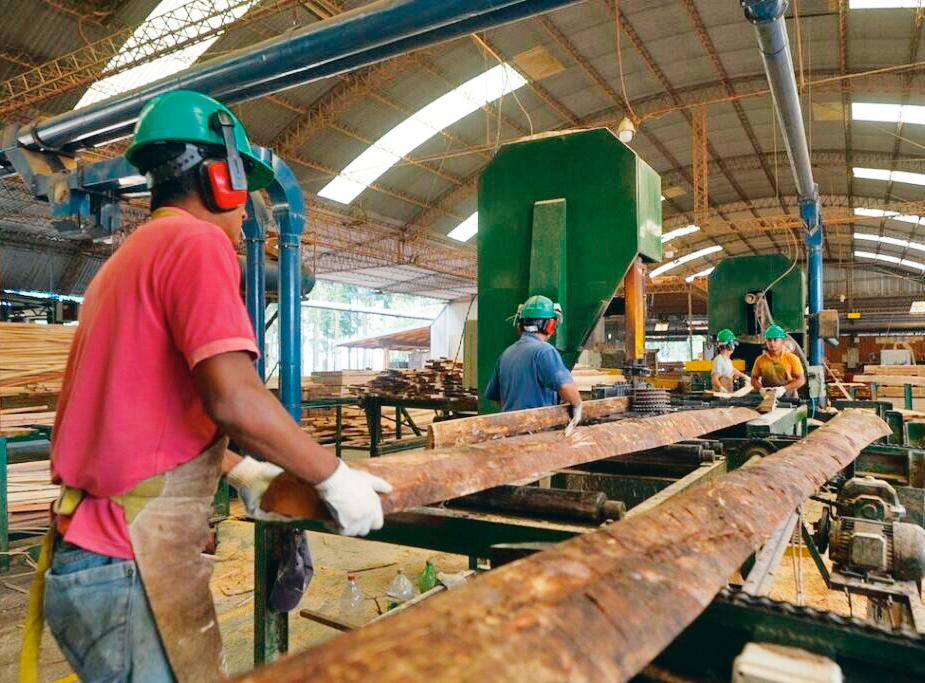 Terminales estratégicas proyectadas en Urabá como Puerto Cirilo se verían gravemente afectados por esta resolución del Ministerio de Medio Ambiente que les restringe la exportación de madera. FOTO: Cortesía