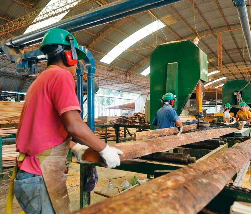 Terminales estratégicas proyectadas en Urabá como Puerto Cirilo se verían gravemente afectados por esta resolución del Ministerio de Medio Ambiente que les restringe la exportación de madera. FOTO: Cortesía