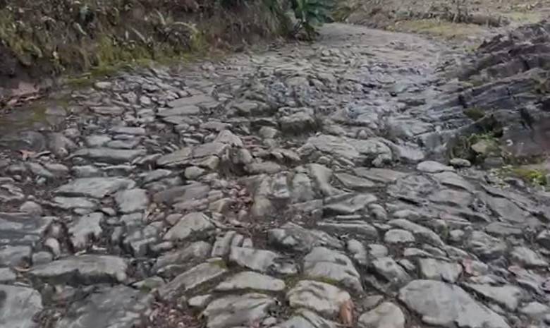 Parte del viejo camino empedrado que atraviesa la zona del Parque Arví. FOTO: Cortesía