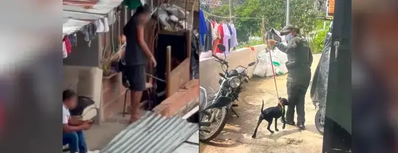 Hasta los niños participaron: cachorro era golpeado en Itagüí