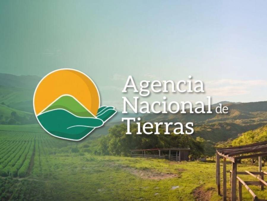 El proceso judicial se relaciona con un proceso que recuperación de baldíos que adelantaba la ANT en Antioquia. FOTO: Cortesía