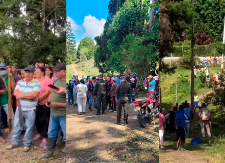 La alcaldesa del municipio de Dagua, Ana María Sanclemente, solicitó al Gobierno Nacional explicar qué ocurrirá con estas tierras. FOTO: COLPRENSA