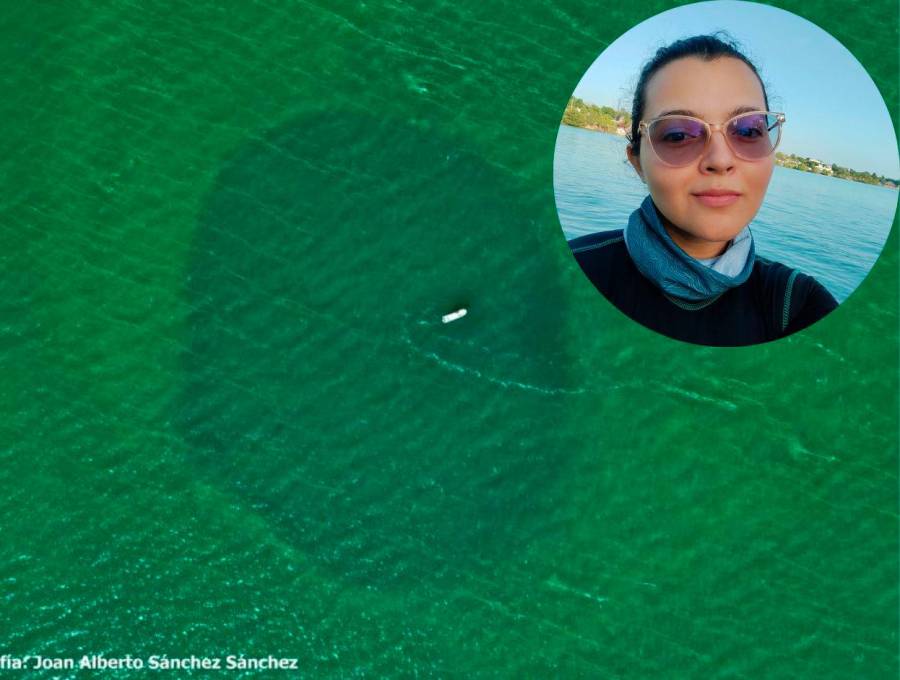 Esta es de las pocas fotografías del agujero azul Taam ja’, ubicado en las profundidades de la Bahía de Chetumal en el estado mexicano Quintana Roo. El sombreado es su boca, que está aproximadamente a 5 metros de profundidad. FOTO: Joan Alberto Sánchez / Cortesía